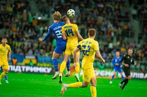 Learn Betting: Essential Guide for Beginners